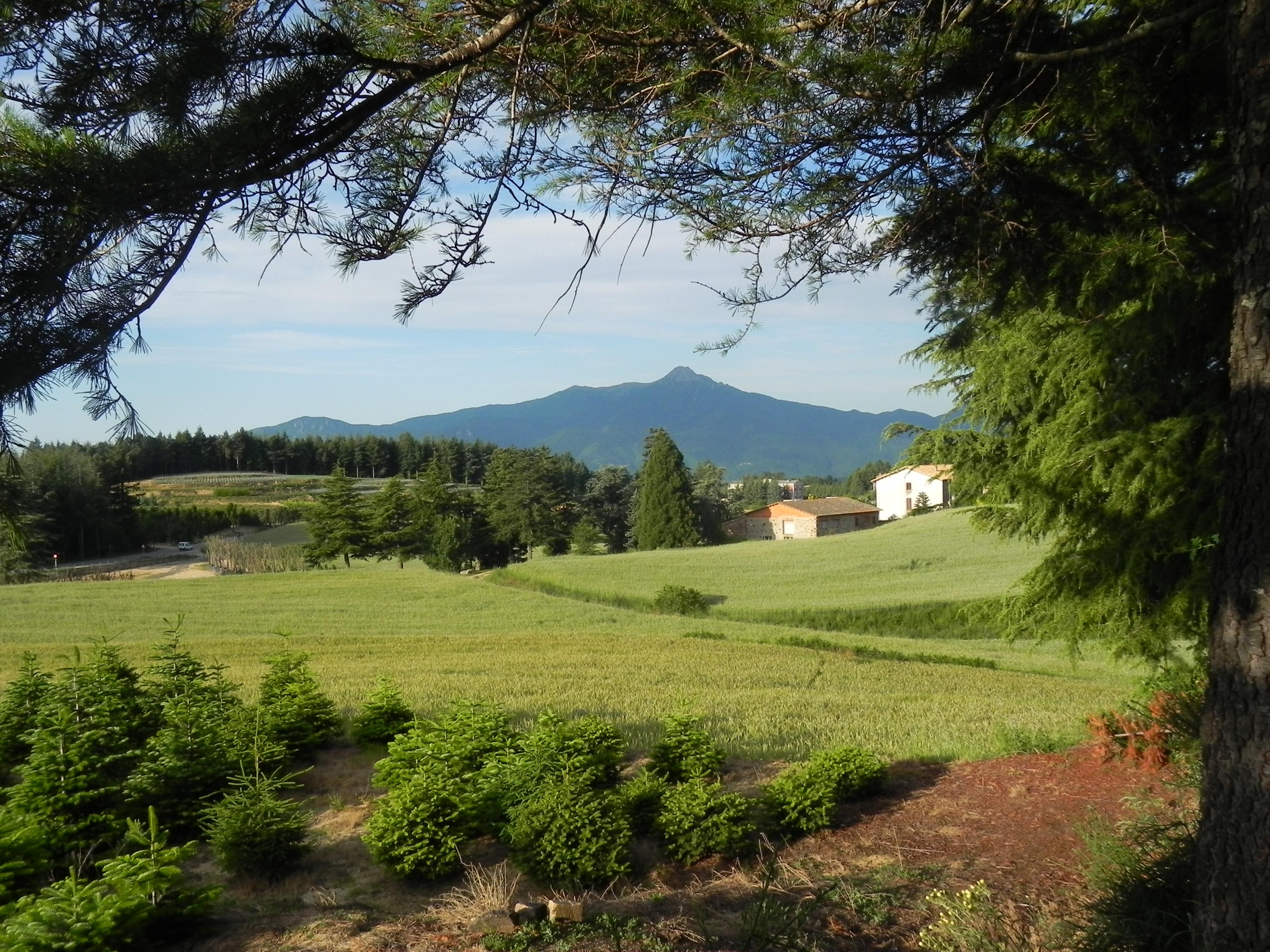 Hotel Ripoll Sant Hilari Sacalm Exterior photo